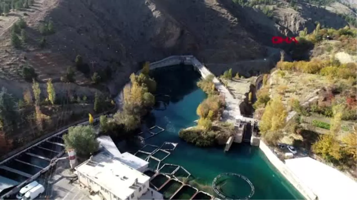 Elazığ\'ın balıkları dünya pazarında -