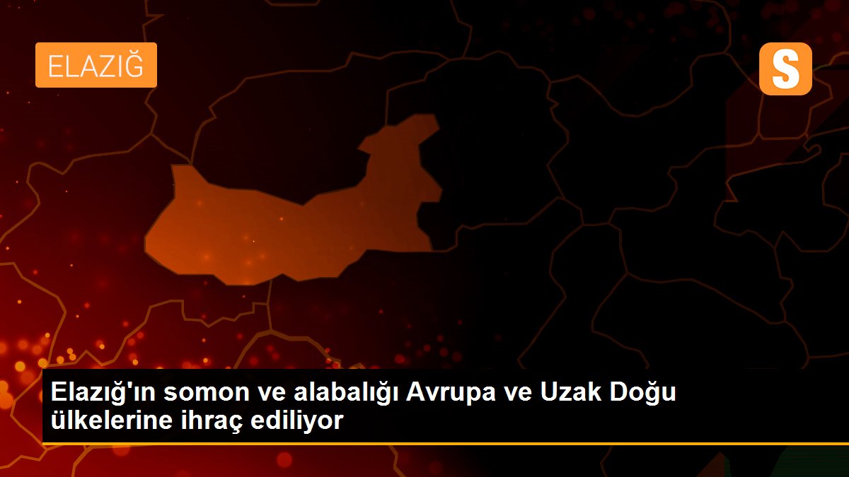 Elazığ\'ın somon ve alabalığı Avrupa ve Uzak Doğu ülkelerine ihraç ediliyor