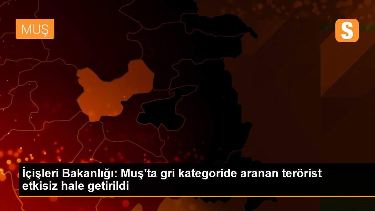 İçişleri Bakanlığı: Muş\'ta gri kategoride aranan terörist etkisiz hale getirildi