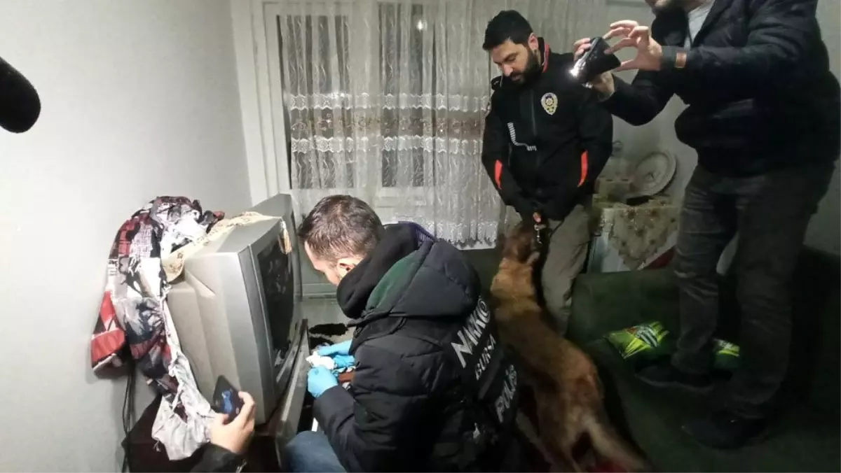 Uykularından koç başlarıyla uyandılar