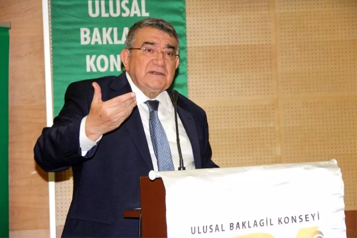 Baklagil Konseyi Başkanı Özdemir: "Baklagil ürünlerine pozitif ayrımcılık istiyoruz"