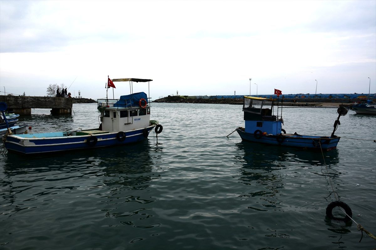 Batı Karadeniz\'de palamut sezonu kapandı