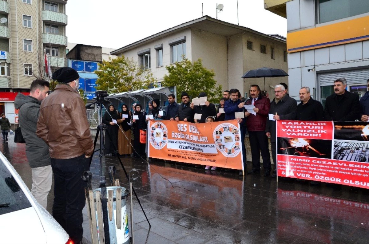 Bitlis\'teki STK\'lar, insan hakları ihlallerine dikkat çekti