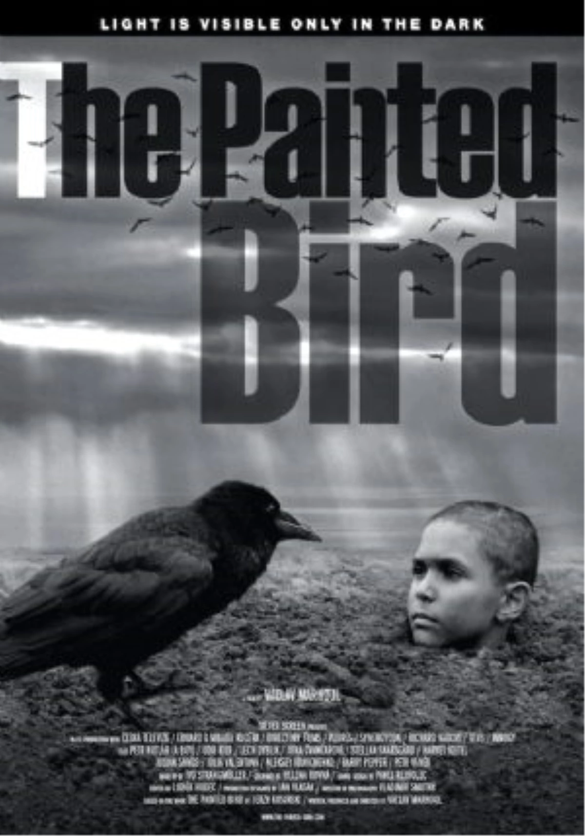 Boyalı Kuş Filmi