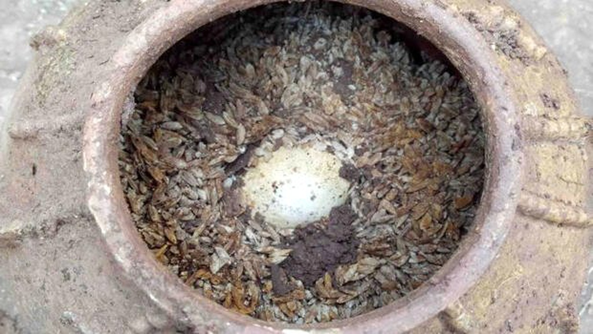 Çin\'de pirinç dolu bir küpün içine gömülmüş en az 500 yıllık olduğu tahmin edilen yumurtalar bulundu