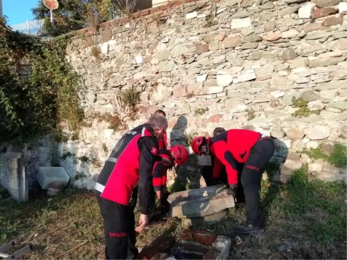 Kuyuya düşen yavru kediler kurtarıldı