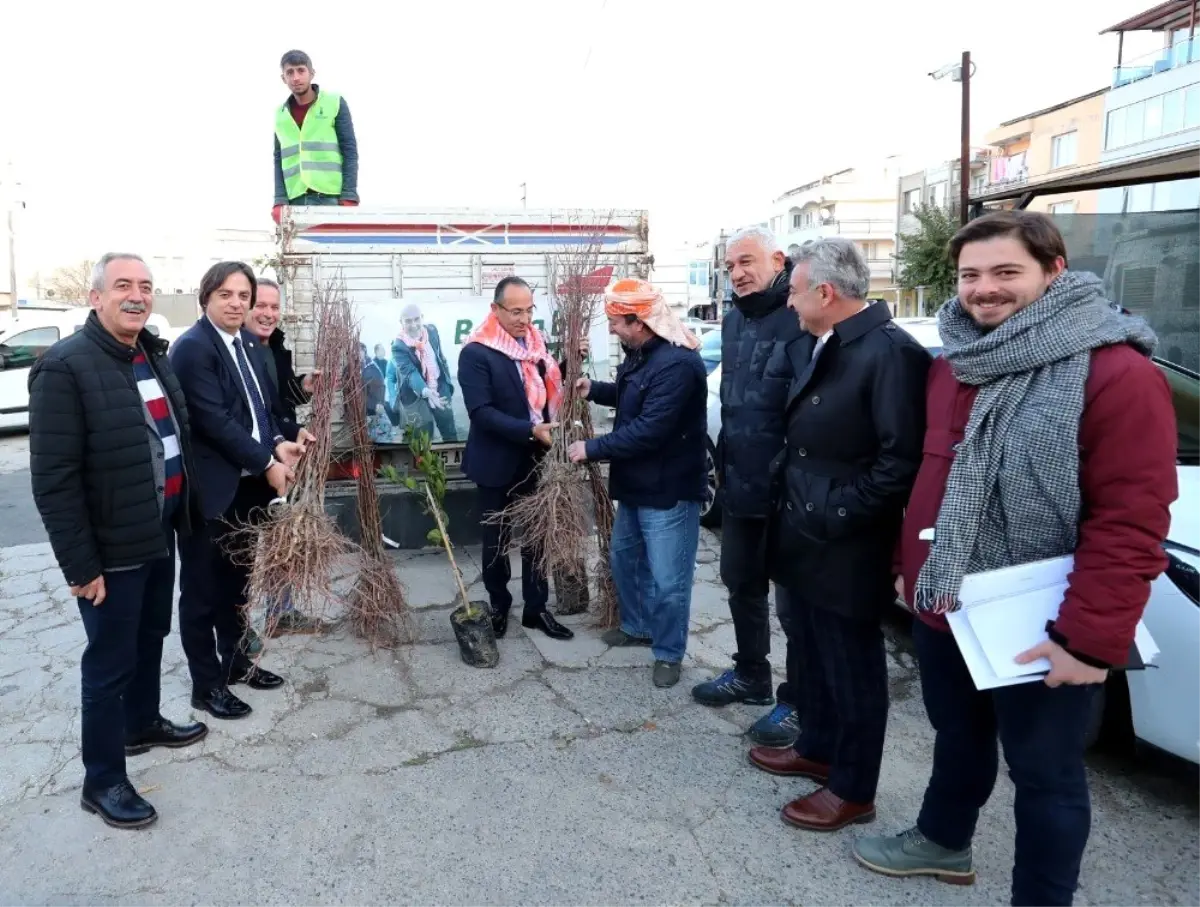 Urlalı üreticiye bin 110 adet meyve fidanı