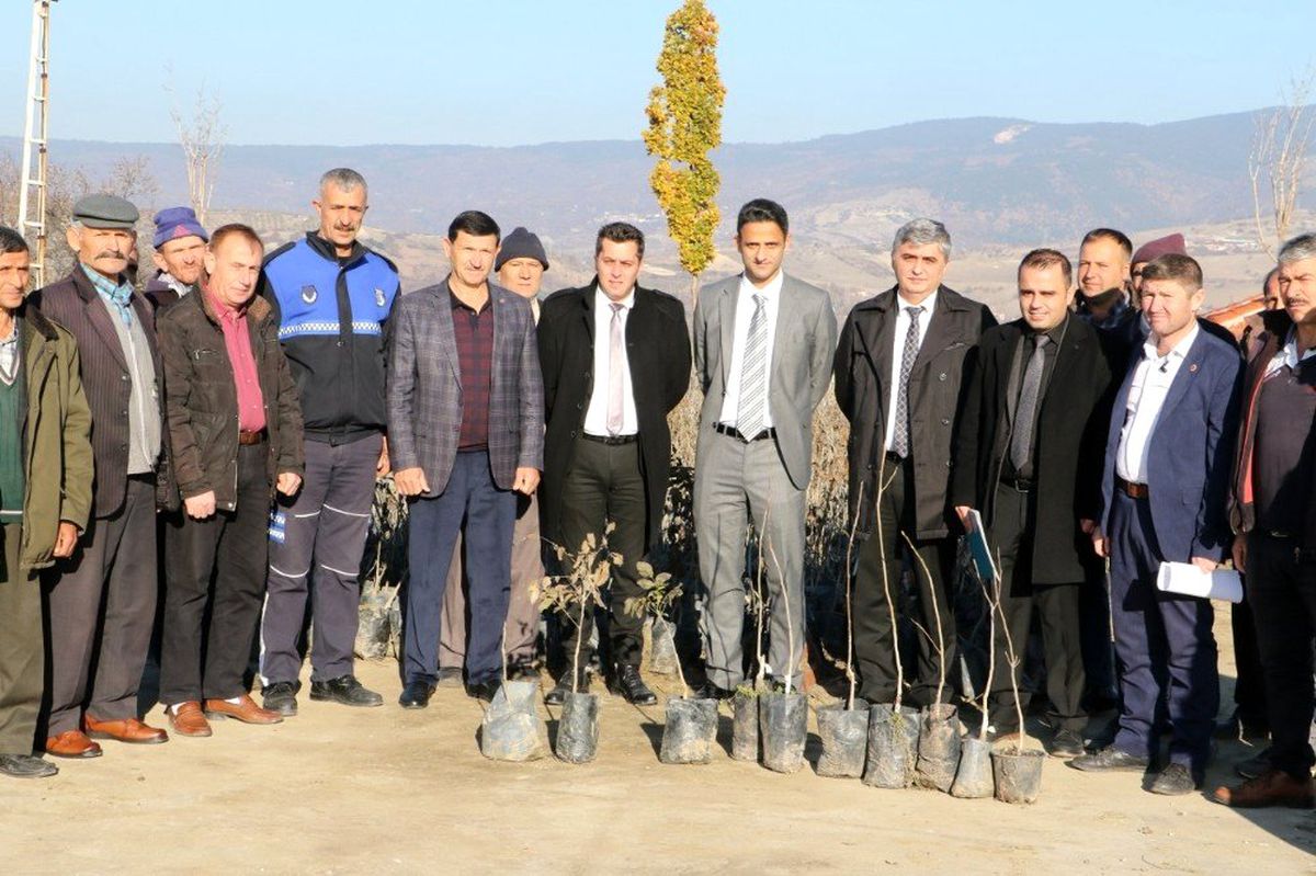 Demirci\'de üreticilere ceviz desteği