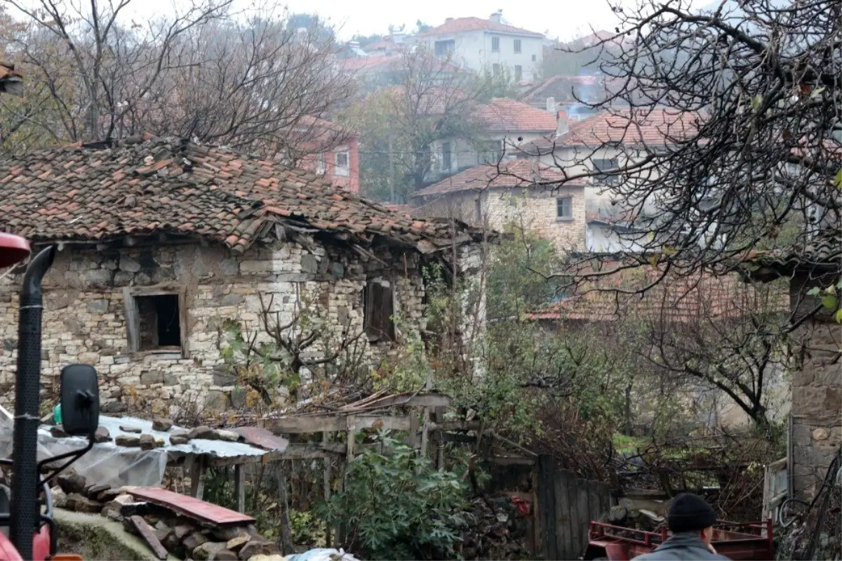 Depremin merkez üssünde hayat normale döndü