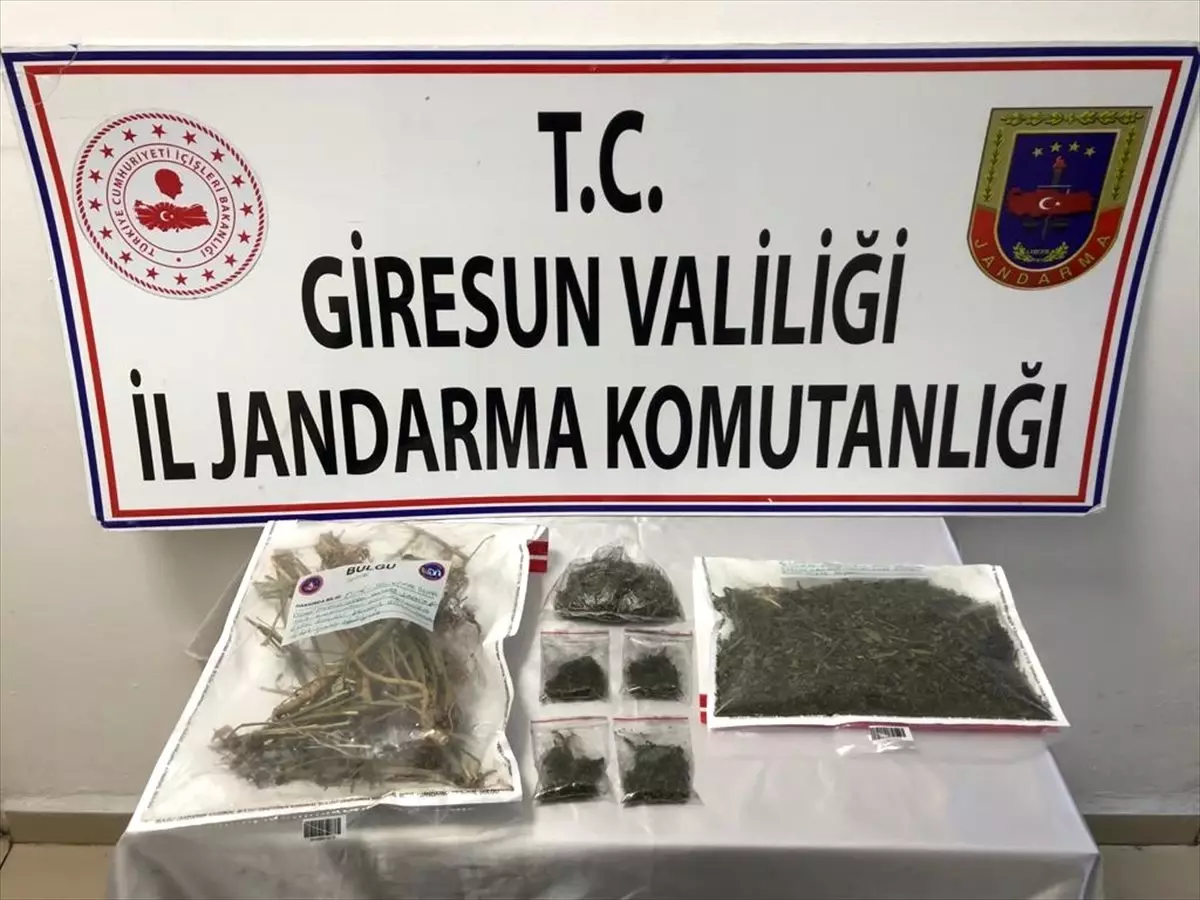 Giresun\'da uyuşturucu operasyonunda 2 şüpheli yakalandı