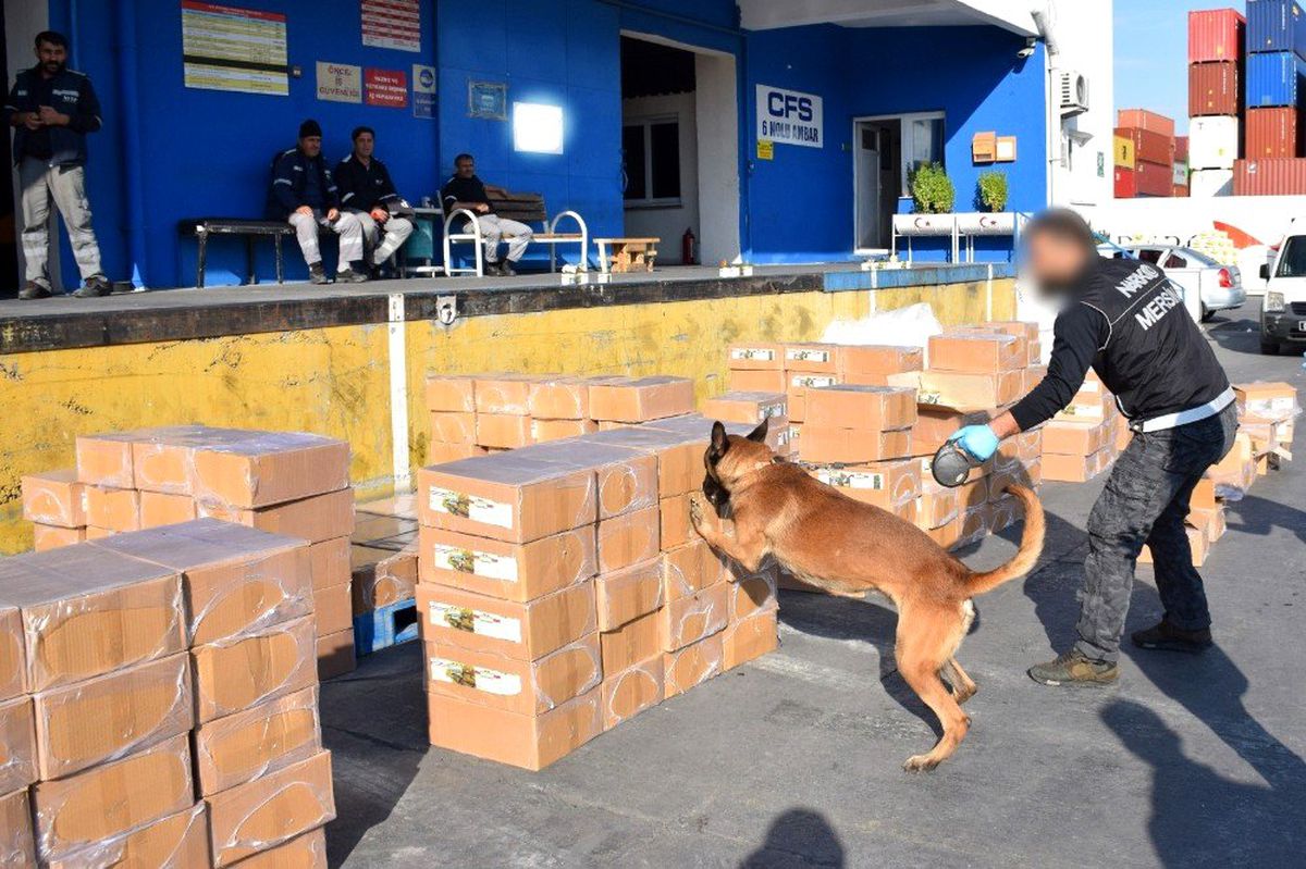 Konserve kutularında uyuşturucu kaçakçılığı