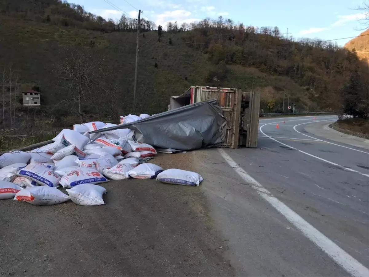 Kontrolden çıkan tır devrildi: 1 yaralı