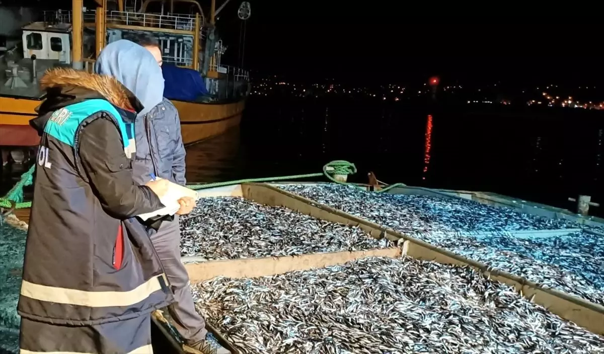 Rize\'de 25 ton küçük boy balığa el konuldu