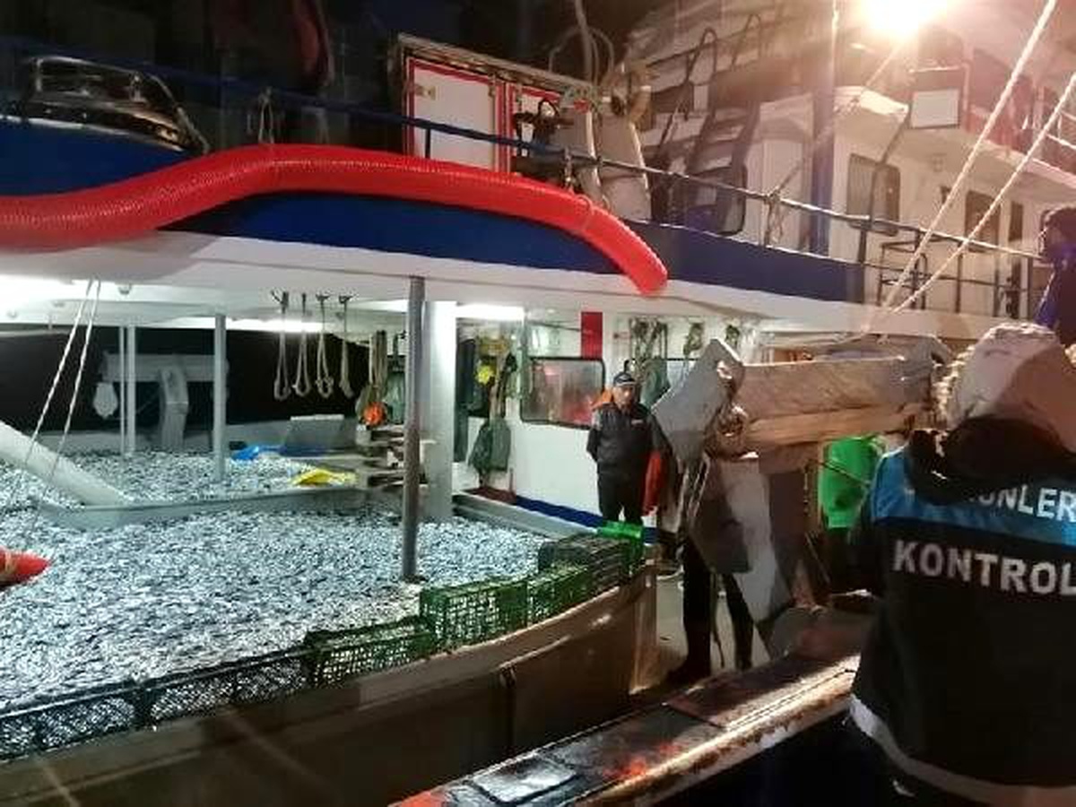 Rize\'de 30 ton küçük boy balığa el konuldu