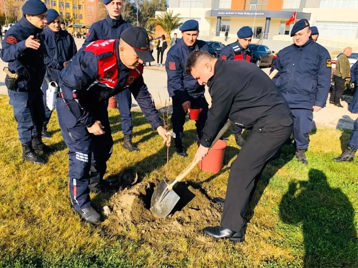 Salihli fakültesinde fidanlar toprakla buluştu