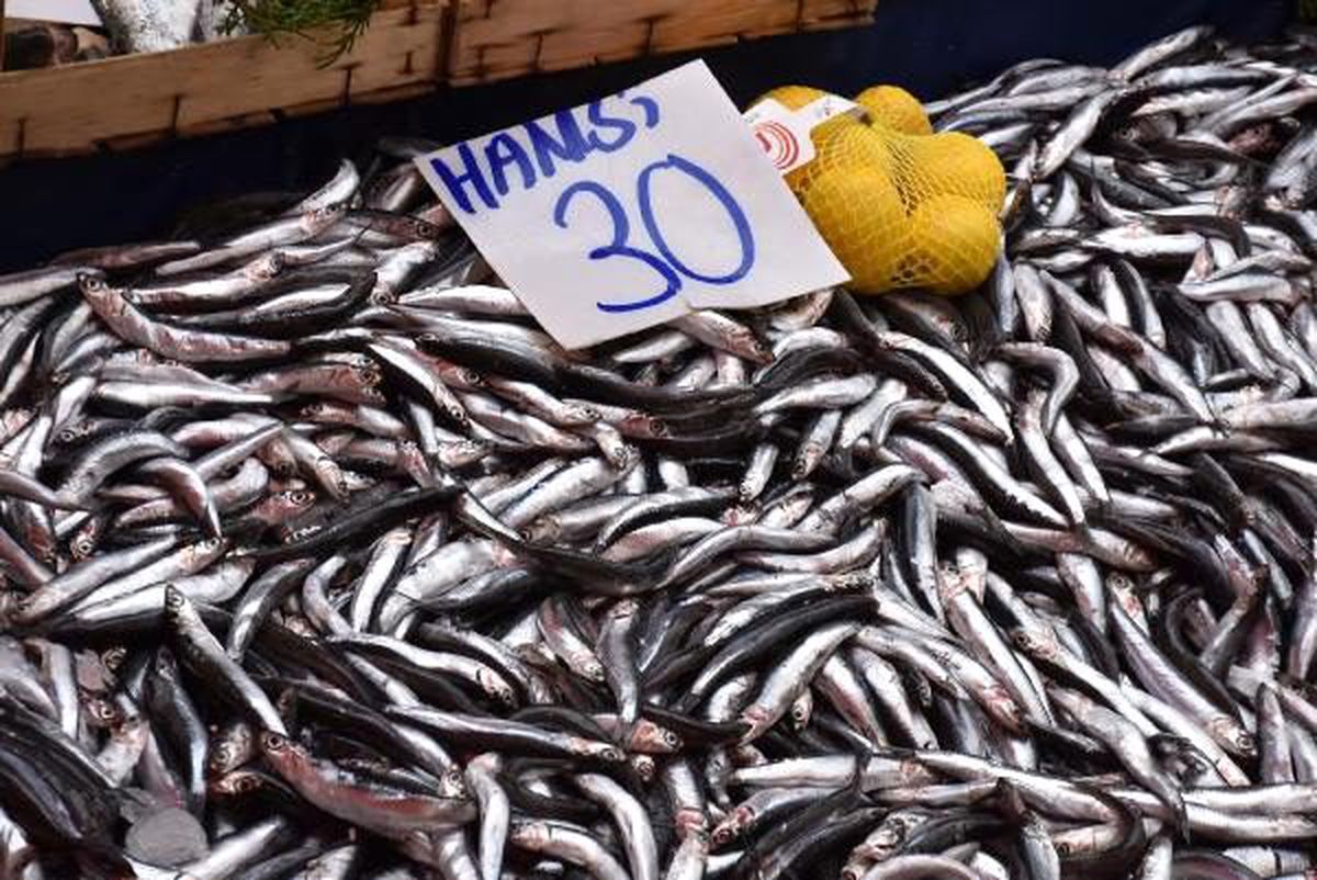 Sıcaklık mevsim normalleri üzerinde, hamsinin fiyatı arttı