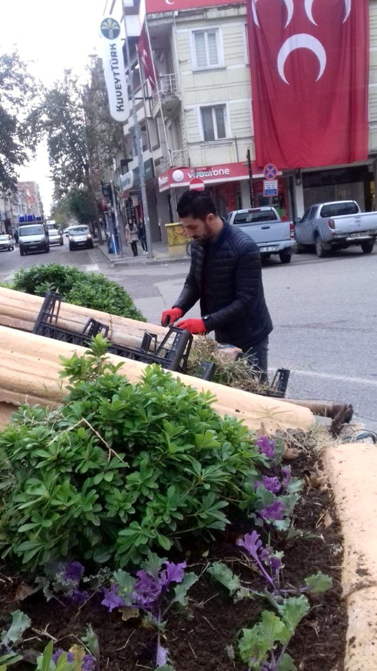 Adıyaman\'ın her köşesi rengarenk oluyor