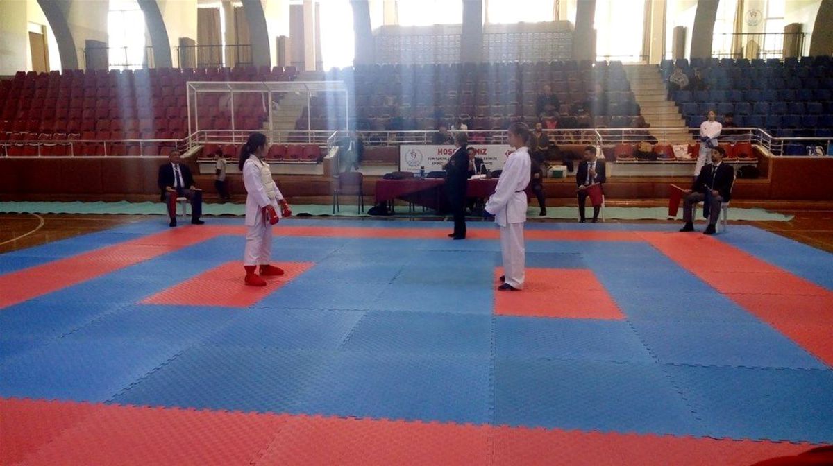 Aydın Analig Karate İl Karması seçmeleri yapıldı