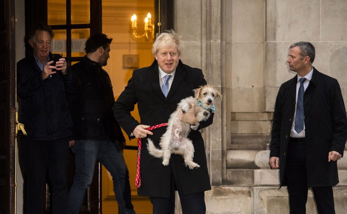 Boris Johnson, köpeğiyle sandık başında
