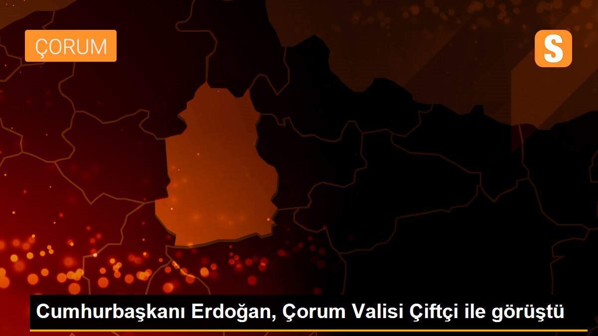 Cumhurbaşkanı Erdoğan, Çorum Valisi Çiftçi ile görüştü