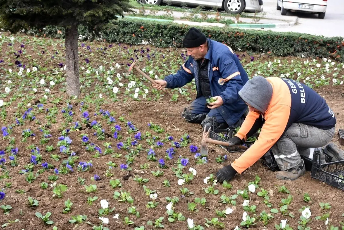 Gemlik yeşilleniyor