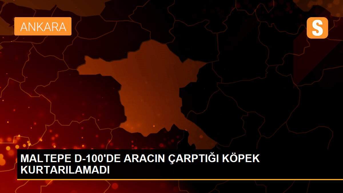 MALTEPE D-100\'DE ARACIN ÇARPTIĞI KÖPEK KURTARILAMADI