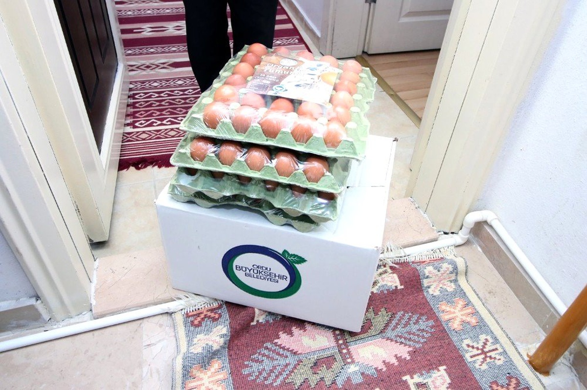 Ordu\'da 90 bin organik yumurta ihtiyaç sahiplerine dağıtılıyor