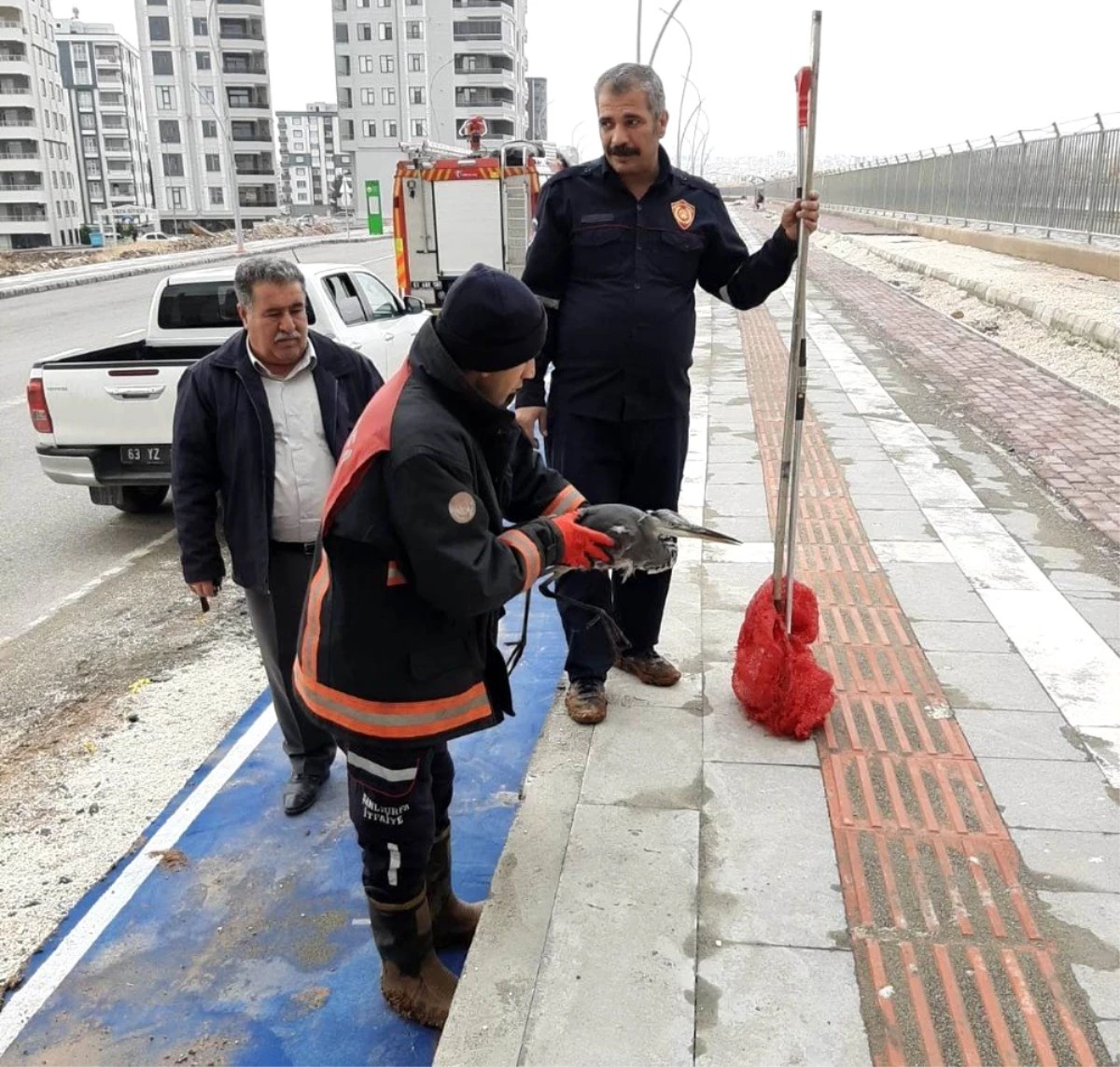 Şanlıurfa\'da leylek kurtarma operasyonu