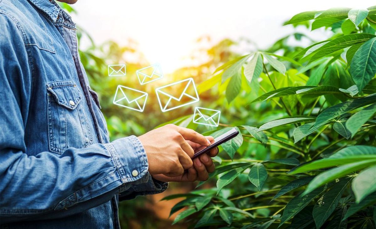 TARSİM SMS bilgi hattı numarası değişti