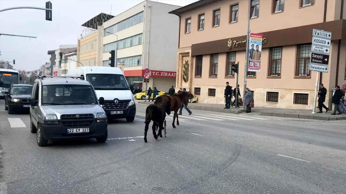 Edirne\'de yola çıkan atlar sürücülere zor anlar yaşattı