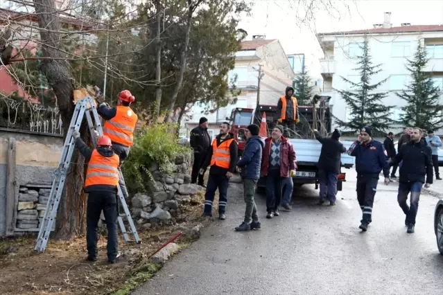 Nevşehir Belediyesinin “Hizmet Seferberliği“ uygulaması sürüyor Son