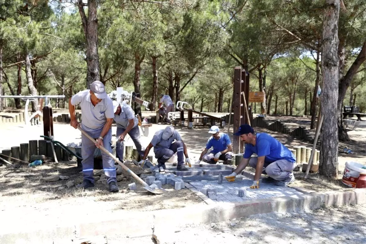 Sultangazi Belediyesinden yeşil alanlara bakım