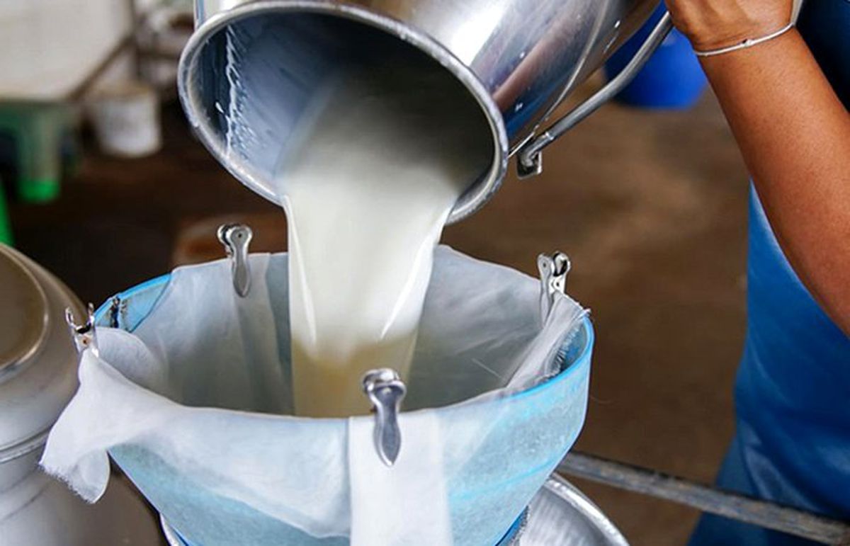 Toplanan inek sütü miktarı ekimde azaldı