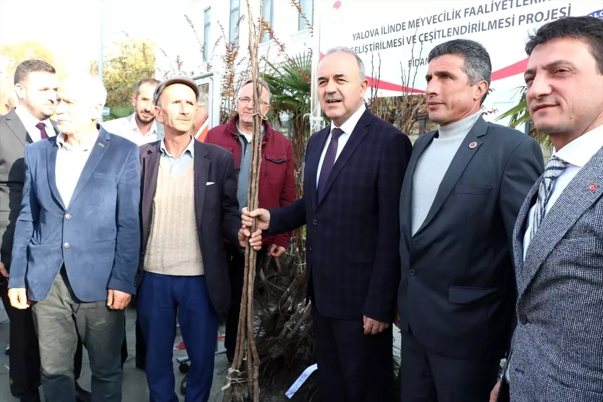 Yalova\'da çiftçilere fidan dağıtıldı