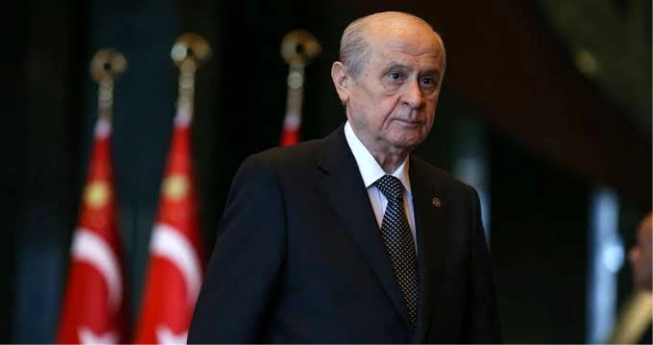 Akademisyen kardeşler, Bahçeli'nin liderliğini yazdı