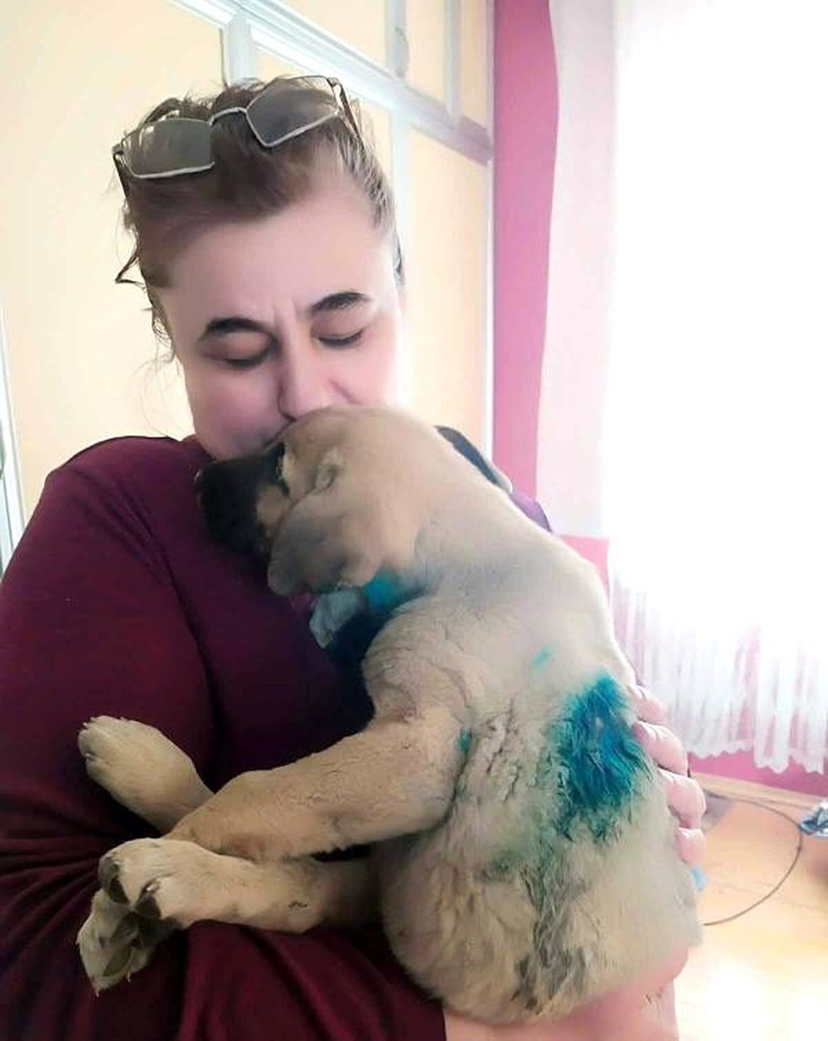Dövüldükten sonra çöplüğe atılan yavru köpeğe \'annelik\' yapıyor