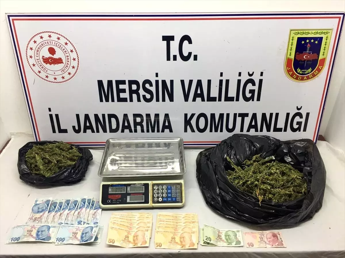 Mersin\'de, jandarma ekiplerinden 3 ilçede uyuşturucu operasyonu