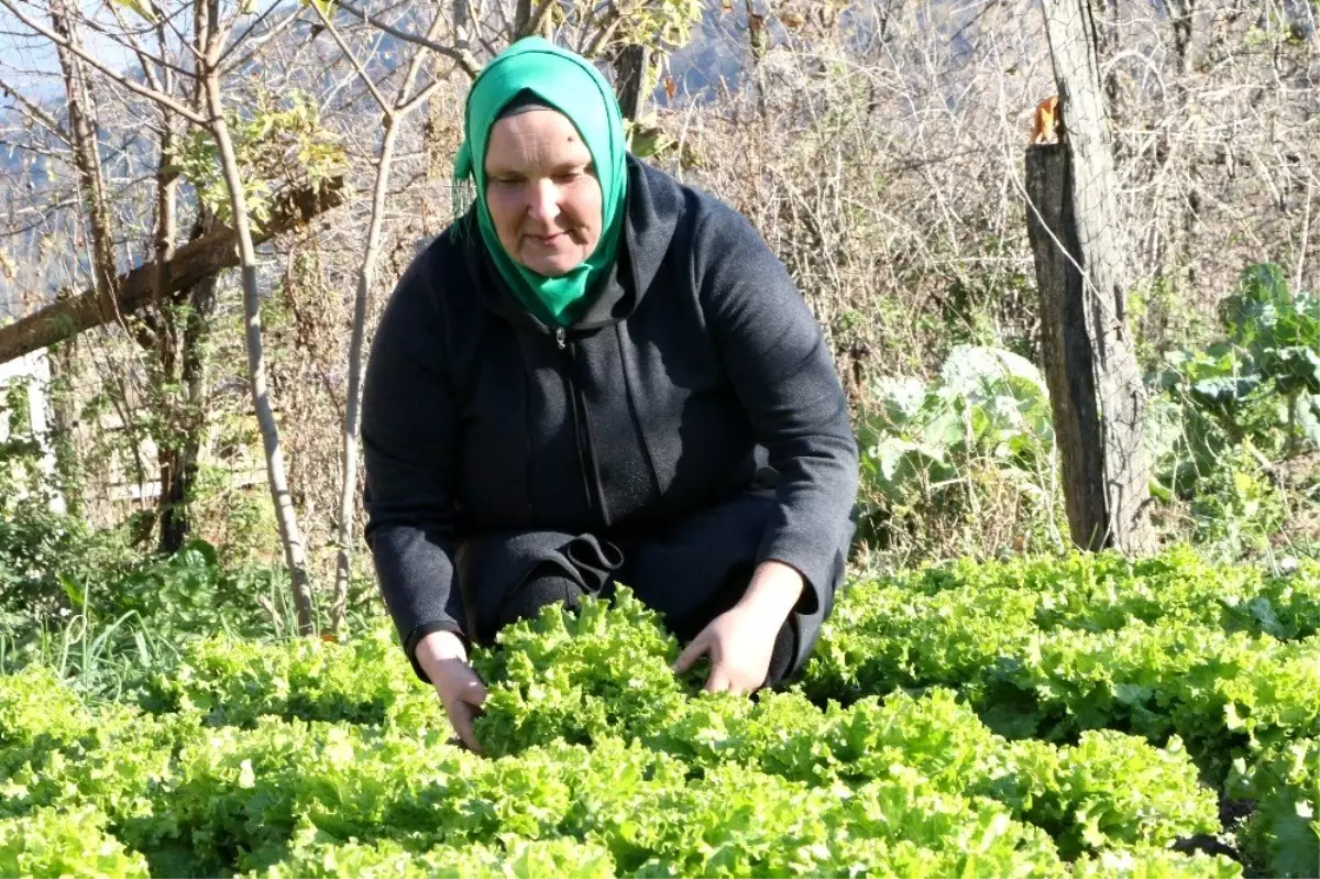 (Özel) Ukraynalı Nataliya herkesin "Şengül abla"sı oldu