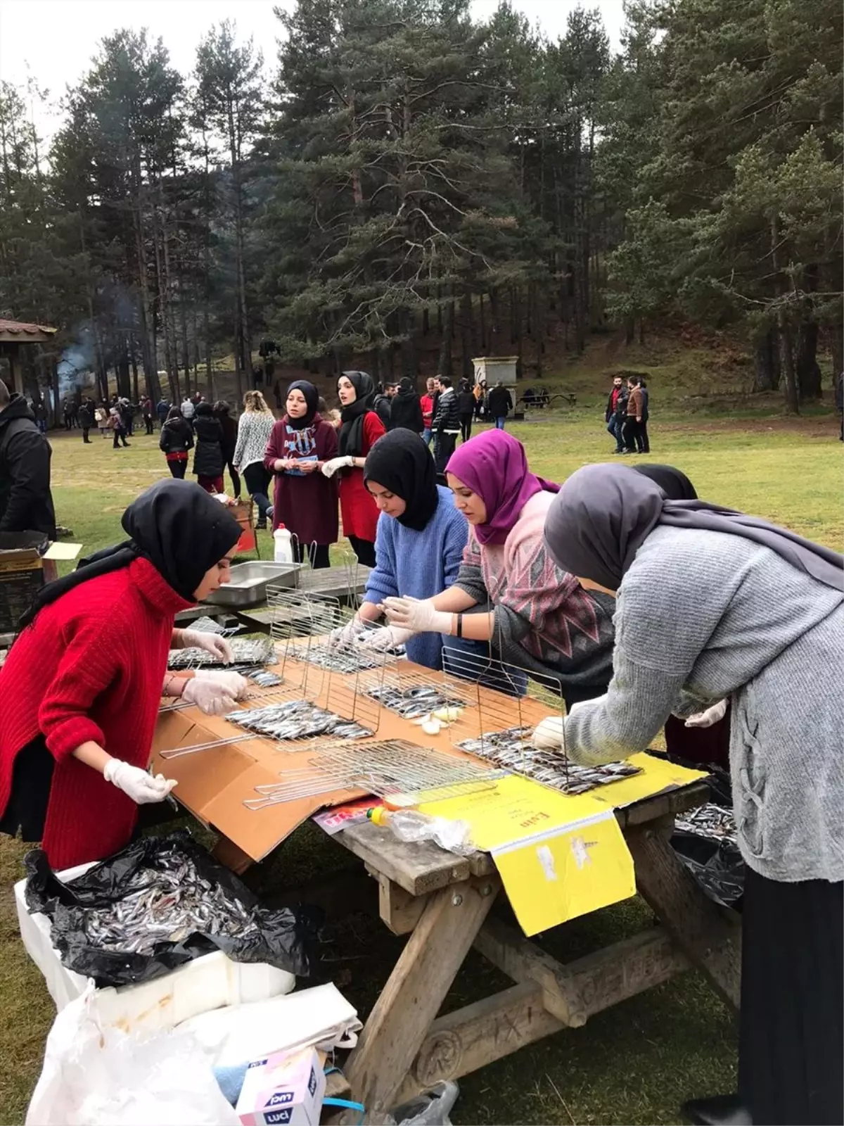 Abant\'taki hamsi festivalinde öğrencilere 1 ton hamsi ikram edildi