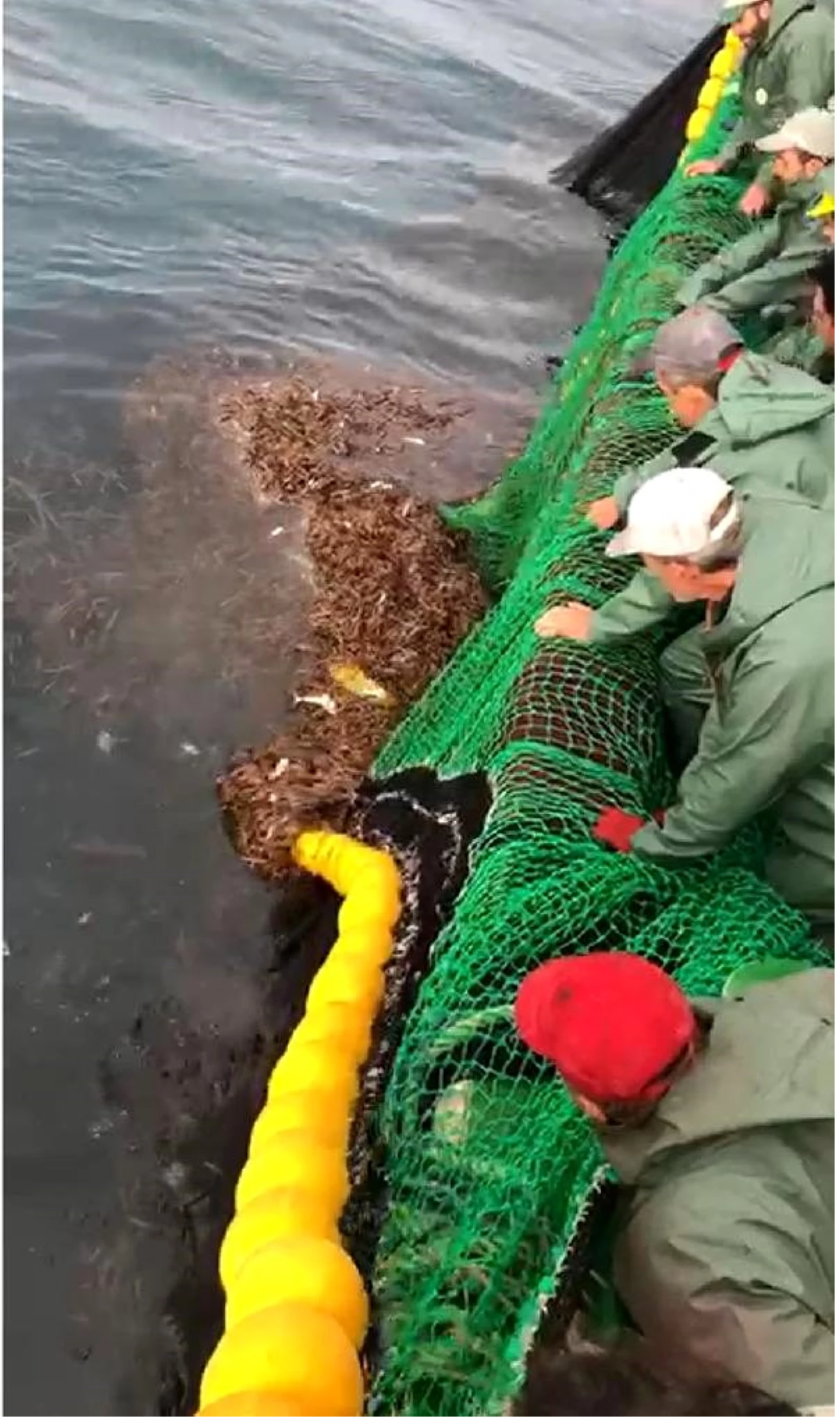 Ağlara takılan deniz kaplumbağasını böyle kurtardılar