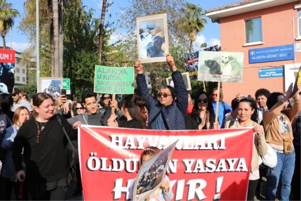 Alanya\'da hayvanseverden protesto