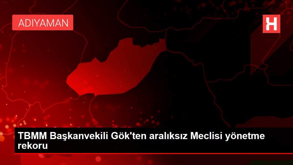 TBMM Başkanvekili Gök'ten aralıksız Meclisi yönetme rekoru