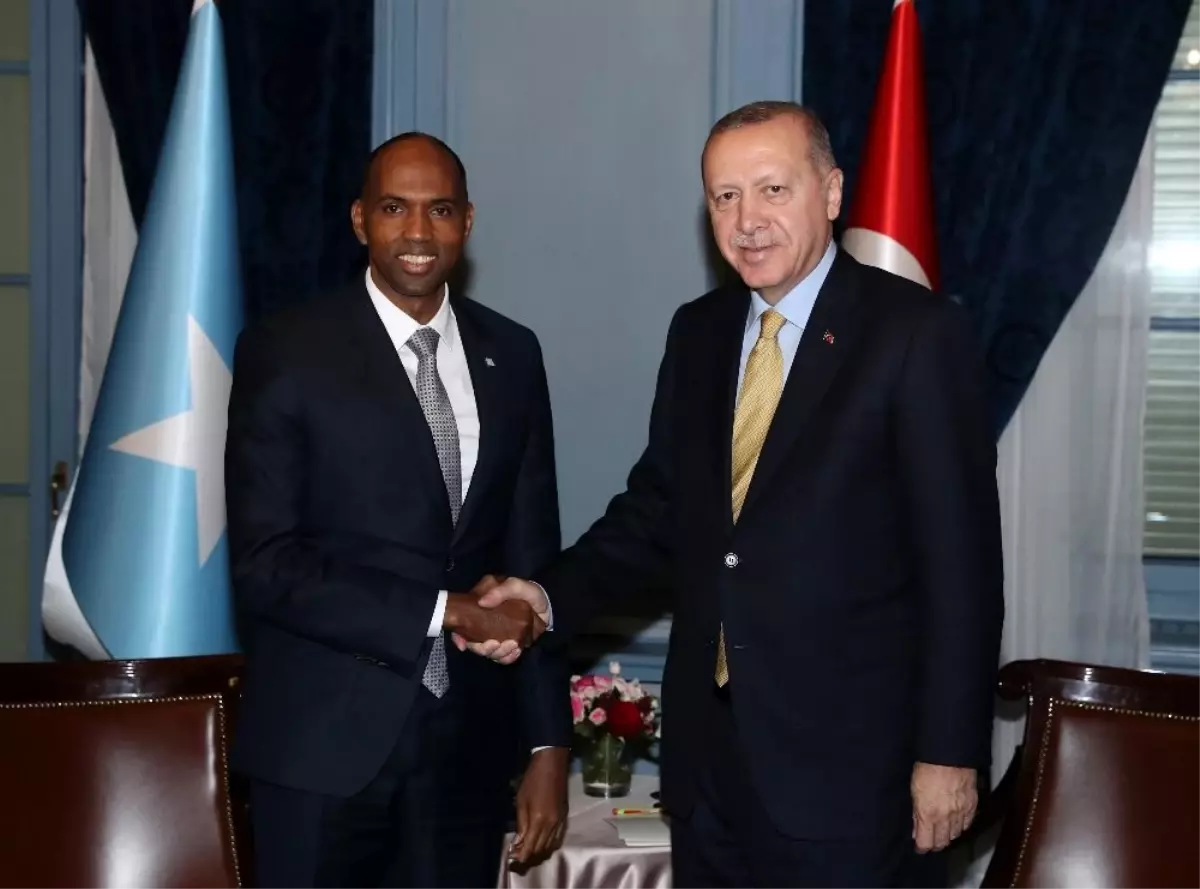 Cumhurbaşkanı Erdoğan, Somali Başbakanı Hayri\'yi kabul etti