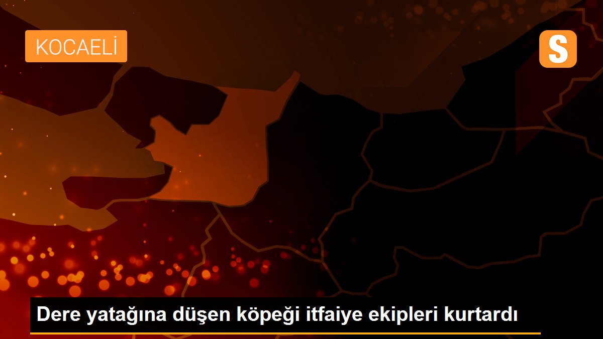 Dere yatağına düşen köpeği itfaiye ekipleri kurtardı