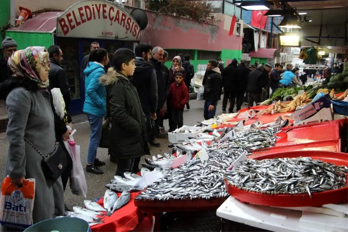 Elazığ\'da deniz ile göl balığı rekabeti