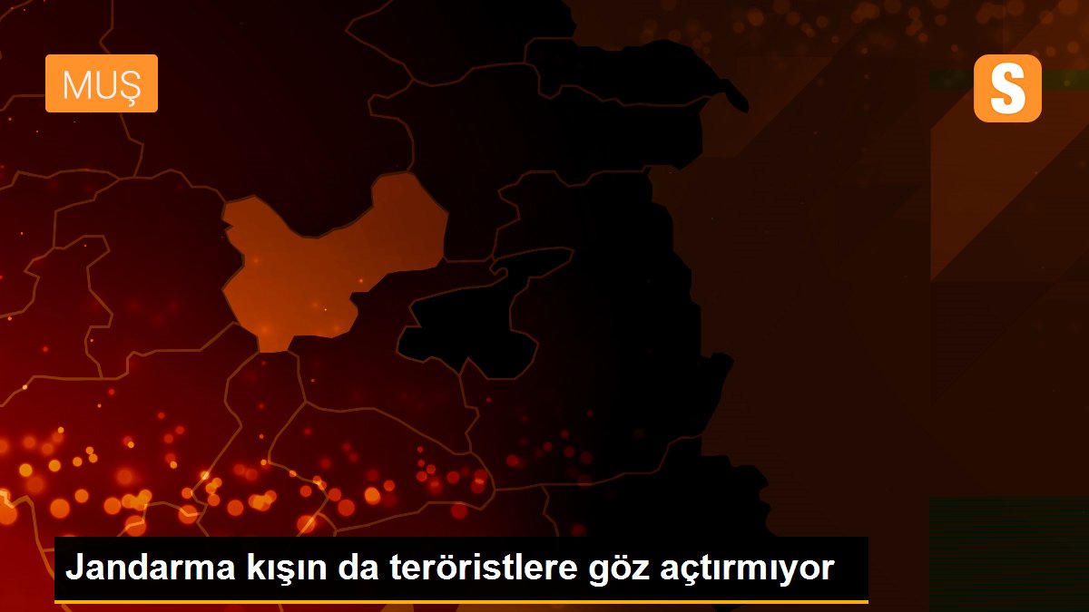 Jandarma kışın da teröristlere göz açtırmıyor