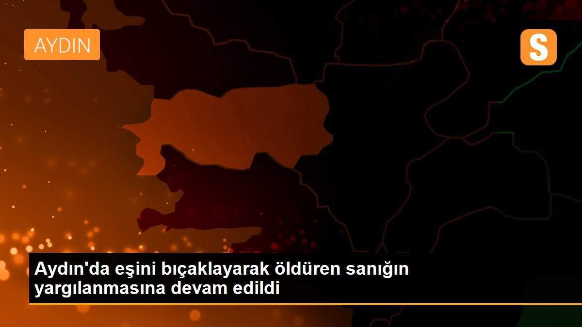 Aydın\'da eşini bıçaklayarak öldüren sanığın yargılanmasına devam edildi