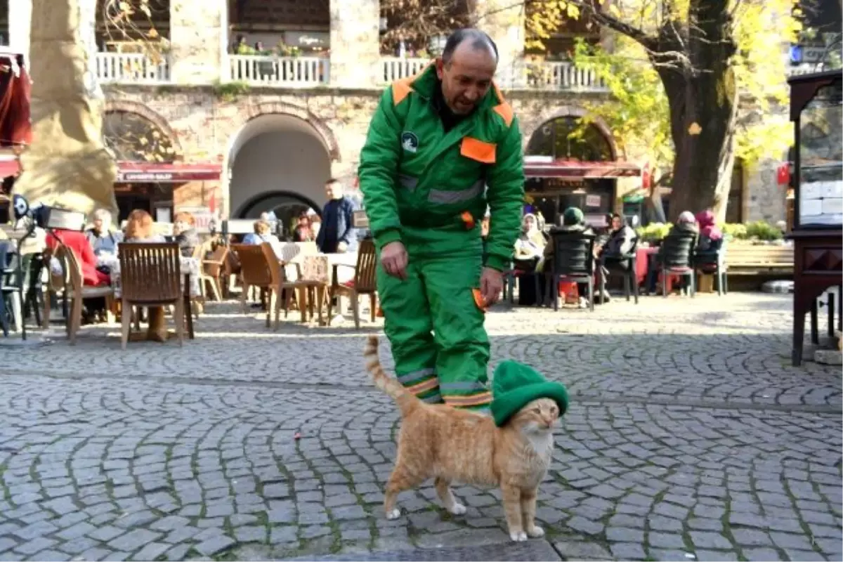 Belediye çalışanının kafasındaki bereyi üşüyen kediye takması sosyal medyada gündem oldu