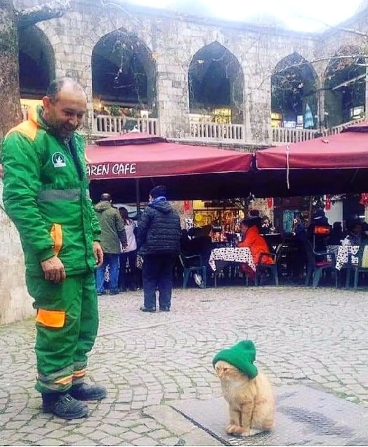 Beresini, üşümesin diye sokak kedisine takan temizlik işçisi, fenomen oldu