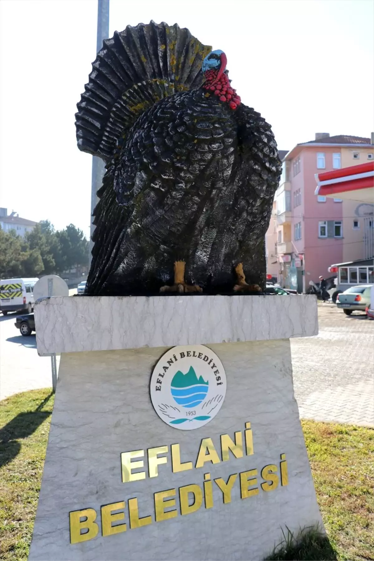 Doğal ortamda yetişen Eflani hindisi yılbaşı sofralarına lezzet katacak